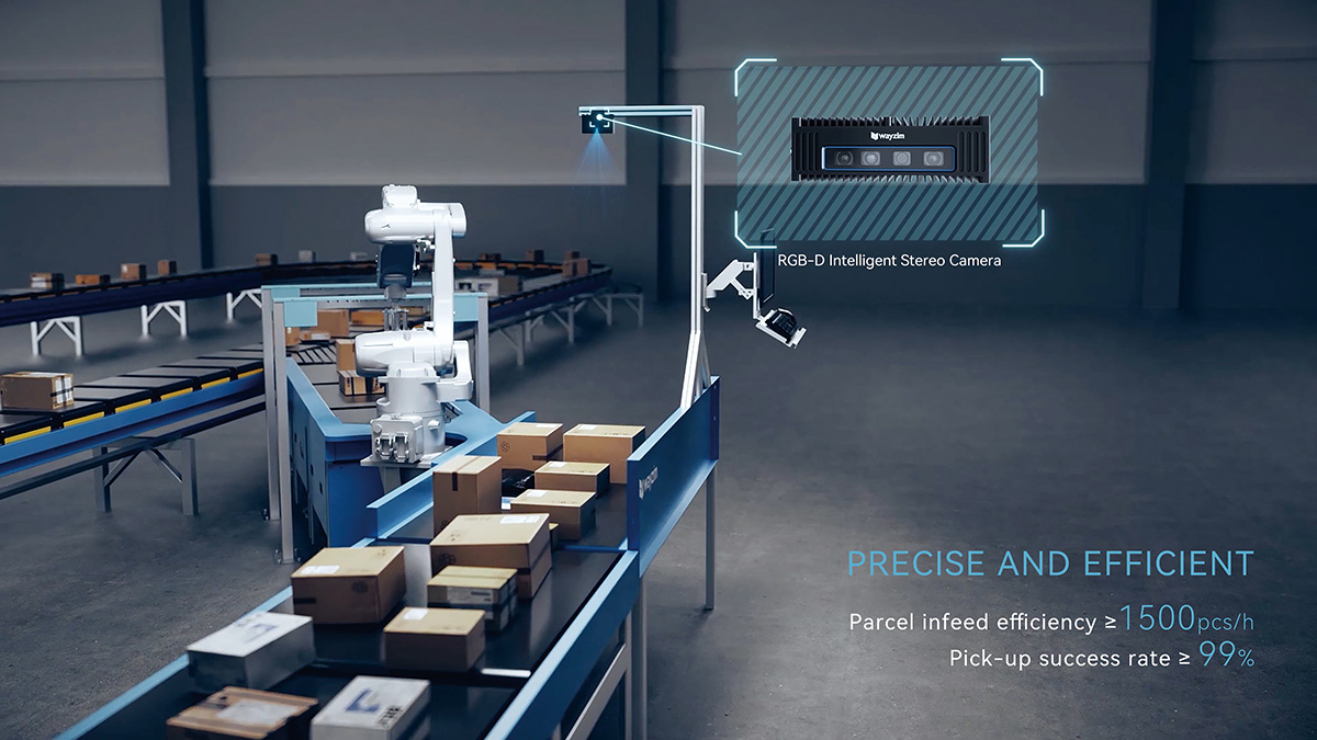 Automated Robotic Parcel Infeed System11.jpg